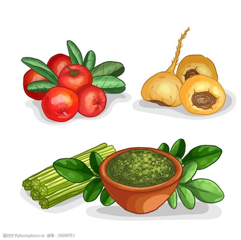 热销机型矢量厨房蔬菜食品素材