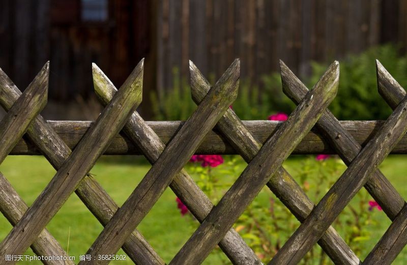 湿地保护区栅栏篱笆木栏围栏围墙