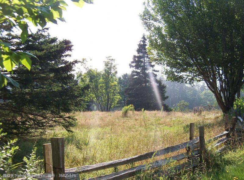 湿地保护区栅栏篱笆木栏围栏围墙