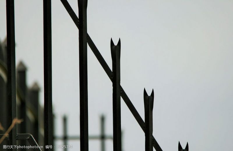 铁心木栅栏篱笆木栏围栏围墙