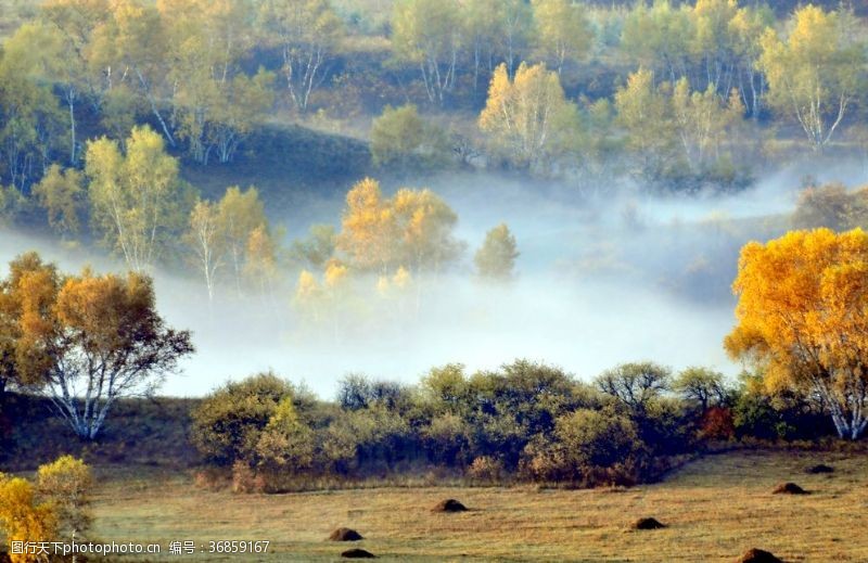 秋季云雾缭绕的山林美景