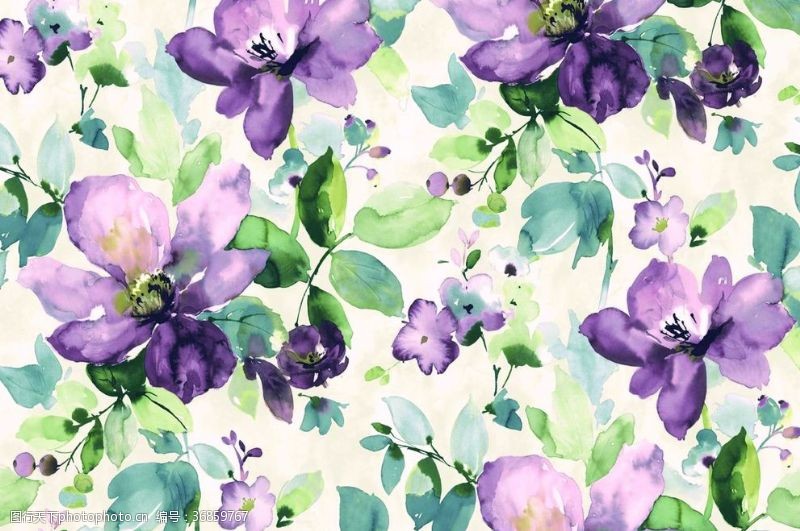 手绘紫色花图片免费下载 手绘紫色花素材 手绘紫色花模板 图行天下素材网