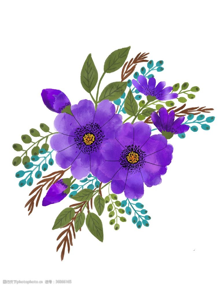 紫色的水彩花图片免费下载 紫色的水彩花素材 紫色的水彩花模板 图行天下素材网