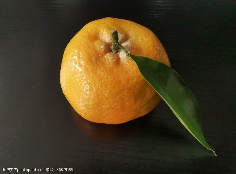 橙子切片素材橘子