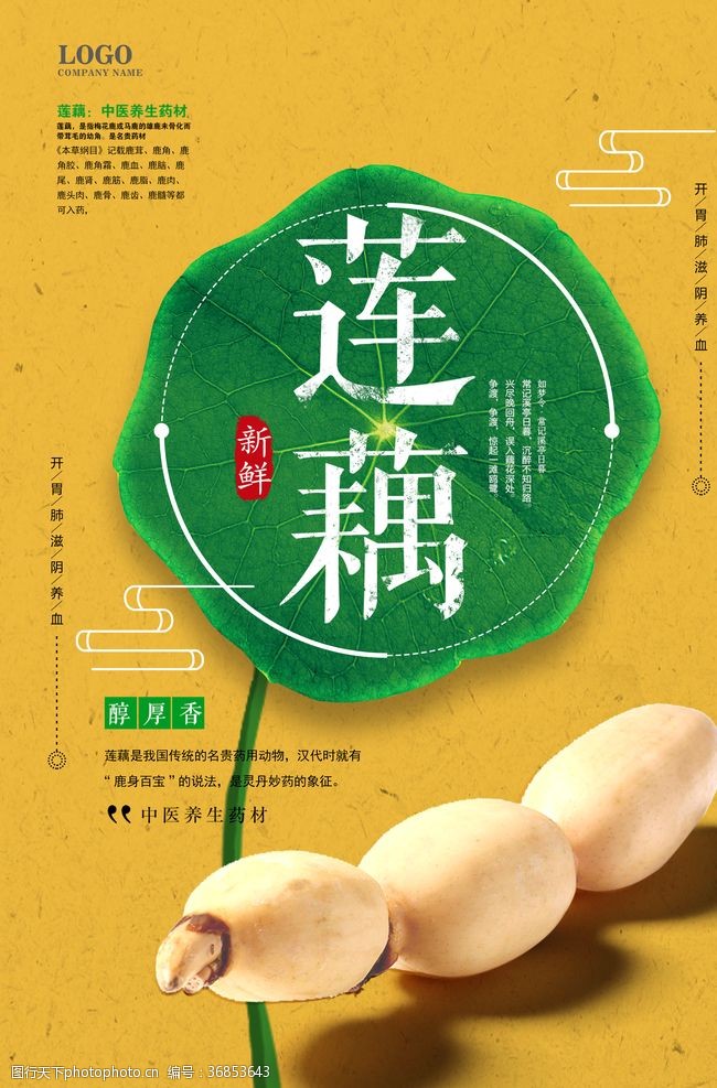 绿色食品莲藕海报