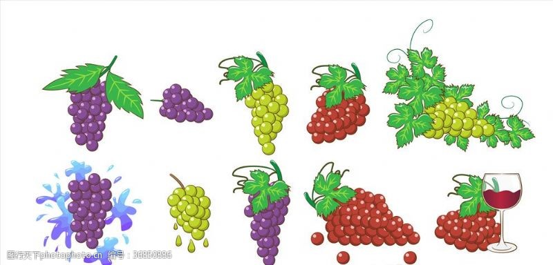 绿色食品手绘水果
