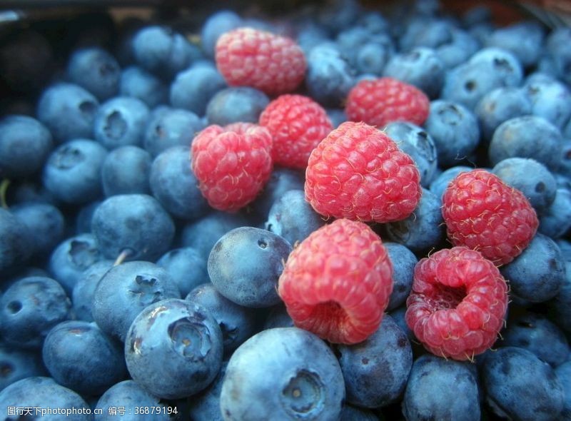 野生蓝莓水果蓝莓覆盆子