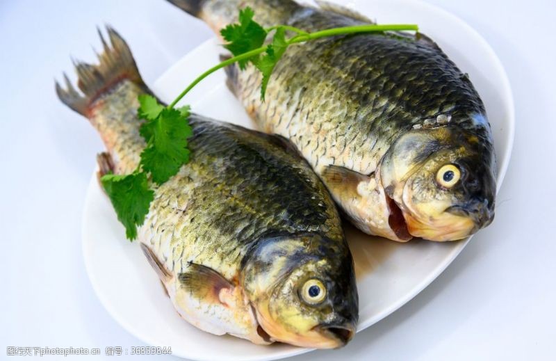 绿色食品鱼