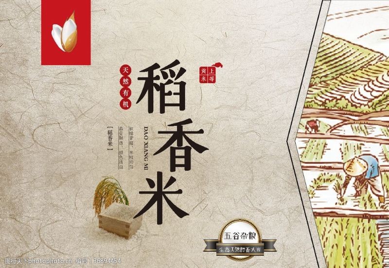 礼盒设计稻香米