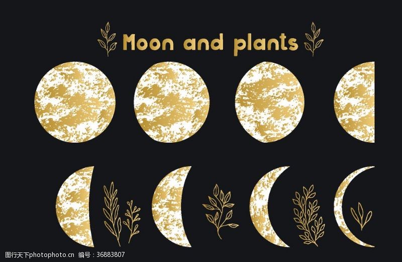 12星座月球月亮月食月圆