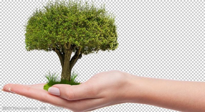 成长环保大树呵护