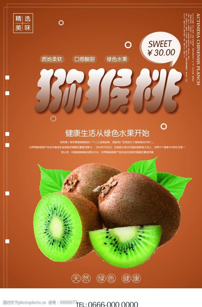 奇异果标签创意猕猴桃户外水果海报
