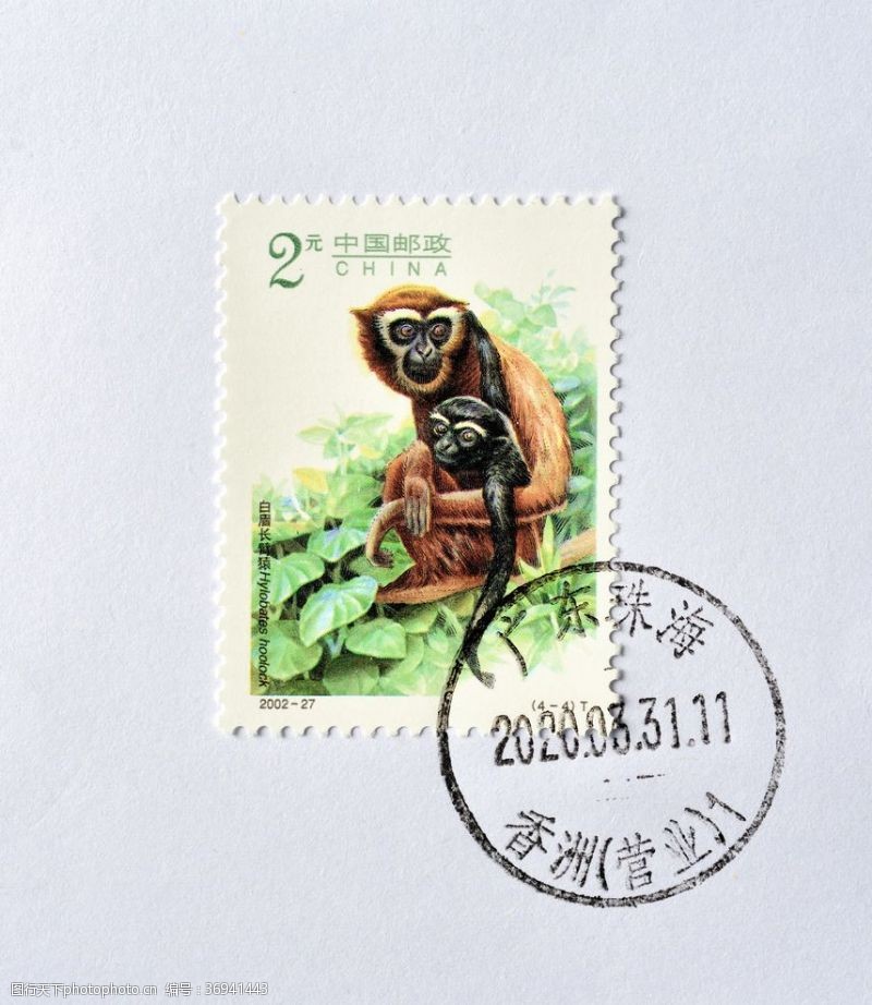 中国邮政白眉长臂猿
