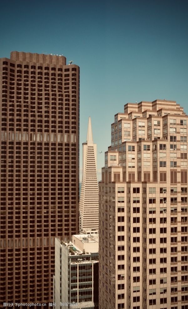 美国的高楼大厦图片免费下载 美国的高楼大厦素材 美国的高楼大厦模板 图行天下素材网