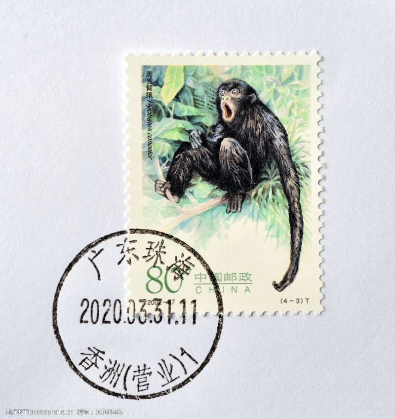 中国邮政黑长臂猿