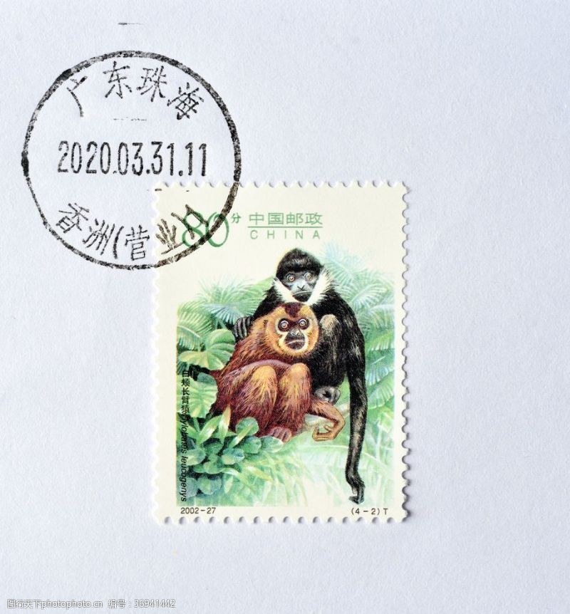 中国邮政白颊长臂猿