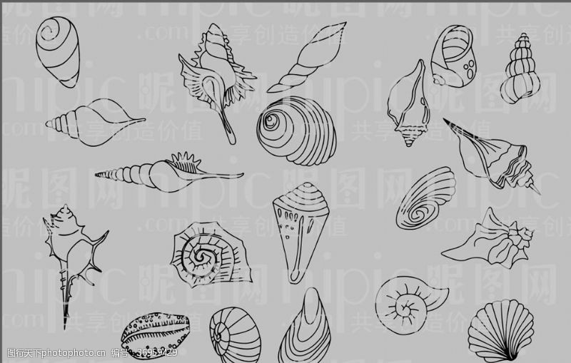 线描动物贝壳海螺卡通