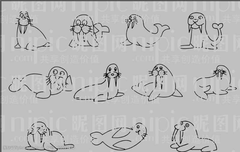 动物素描海象卡通