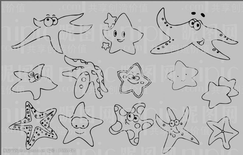 动物素描海星卡通