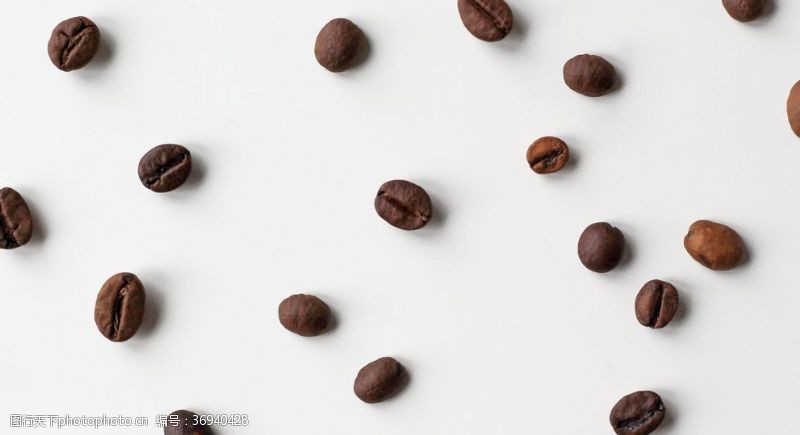新的咖啡豆