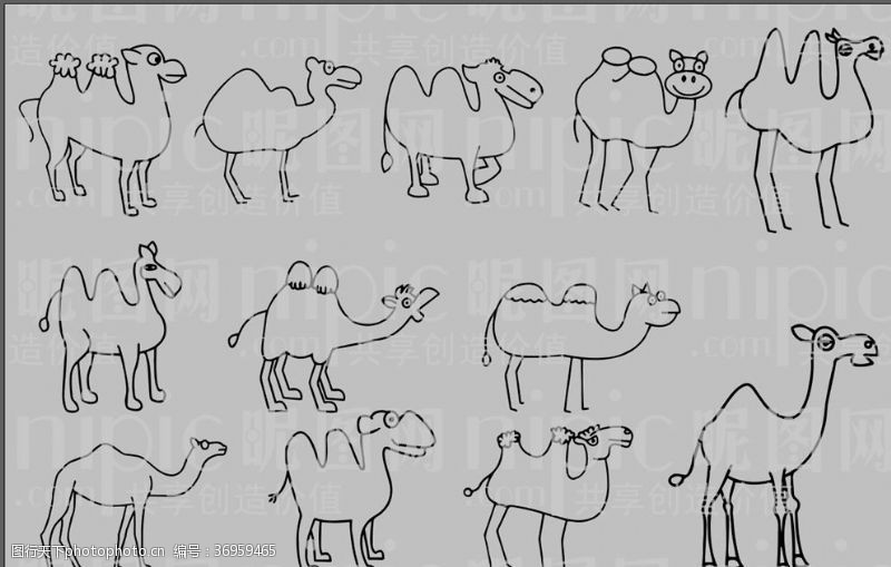 动物素描骆驼卡通