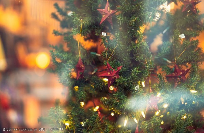 圣诞玻璃橱窗圣诞树