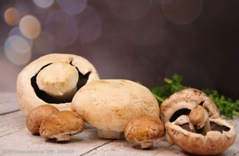 野蘑菇香菇花菇菌菇随州香菇蘑菇