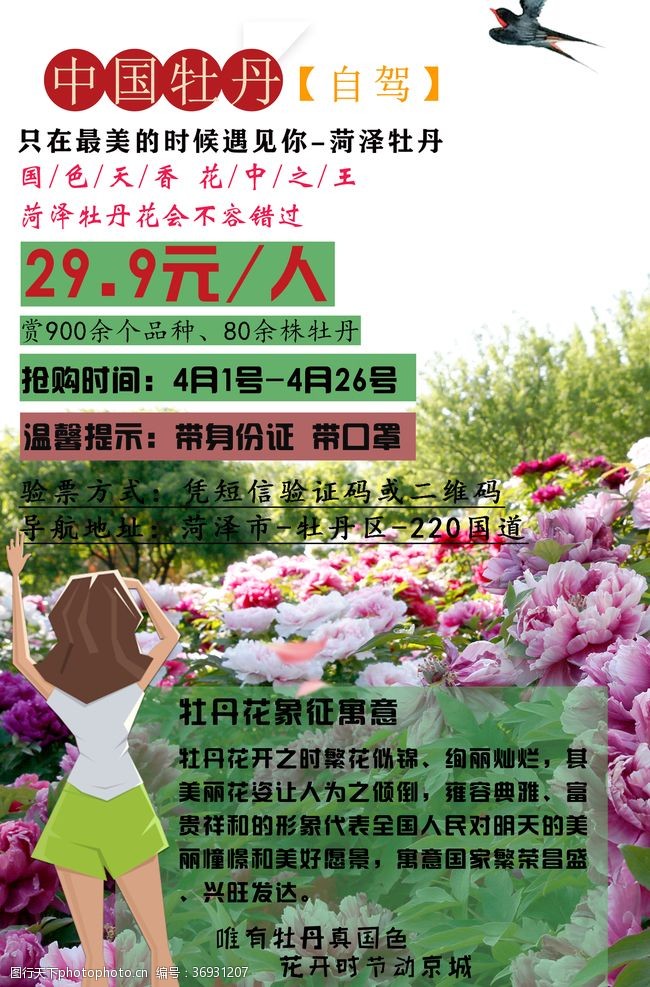 中国牡丹园图片免费下载 中国牡丹园素材 中国牡丹园模板 图行天下素材网