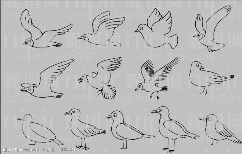 鸽子简笔画鸽子卡通