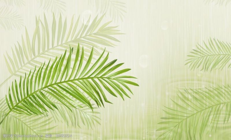 北欧热带树叶背景墙装饰画