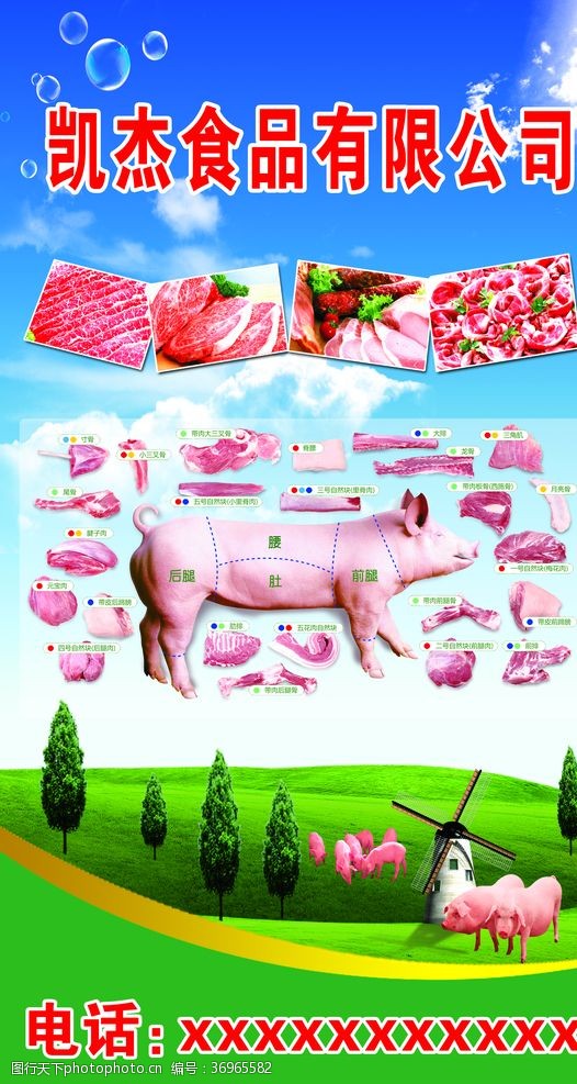 冷鲜肉猪肉分解图