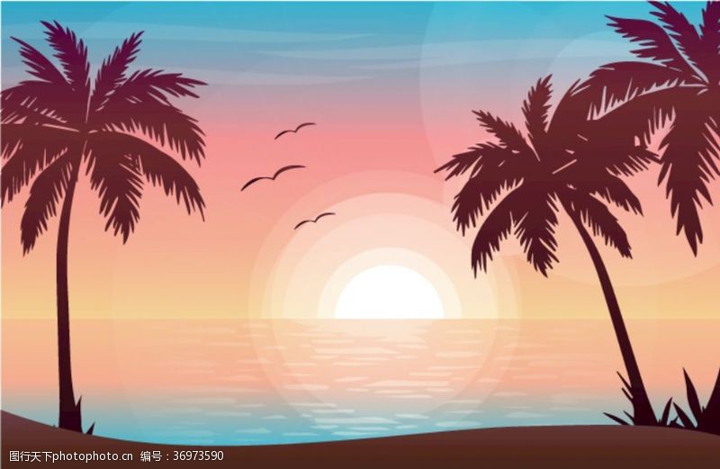 珊瑚橘椰子树日落日出海鸥