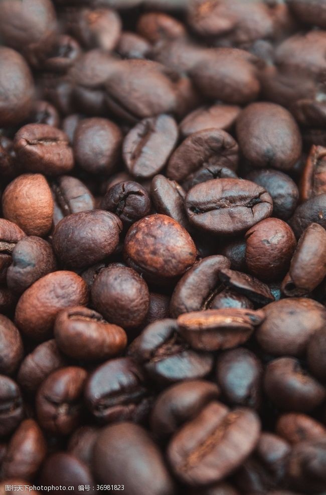 咖啡豆底纹咖啡豆