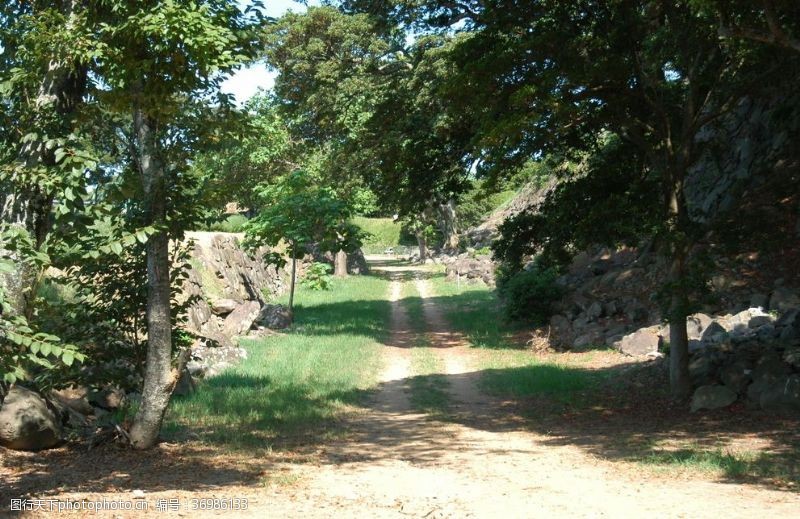 日本风情山林小路