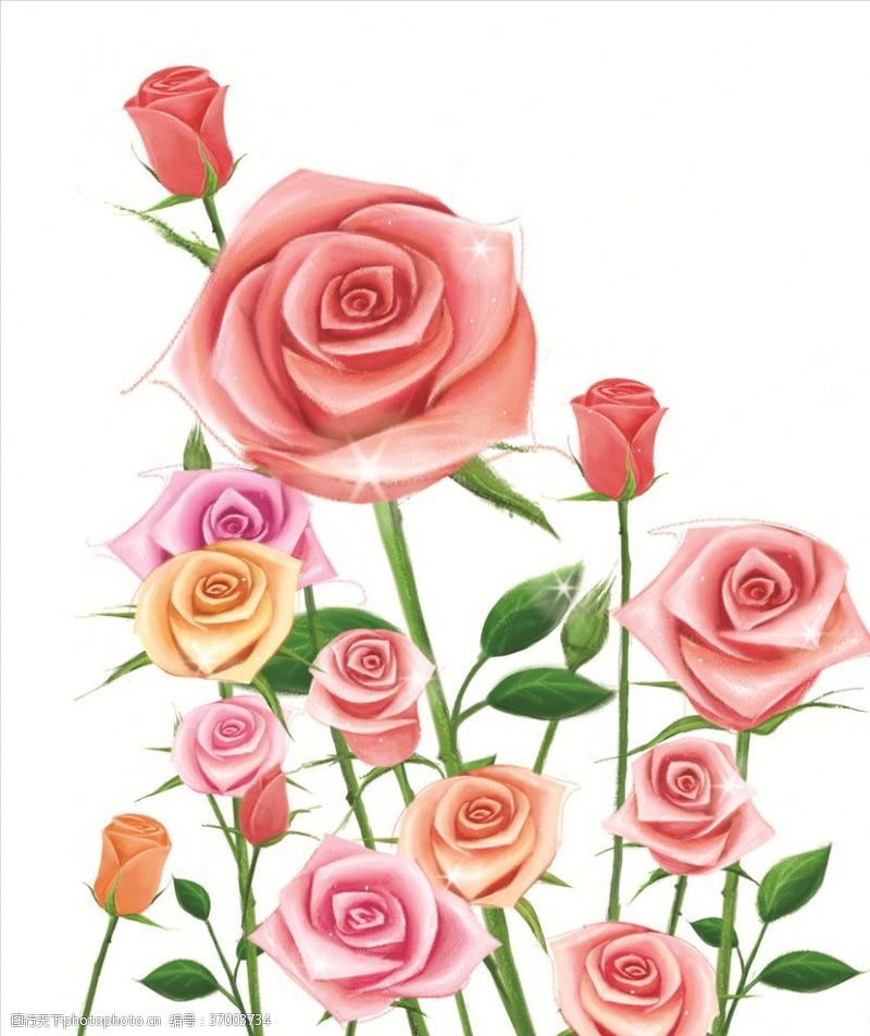 水粉手绘玫瑰花