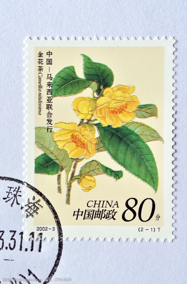 中国邮政金花茶