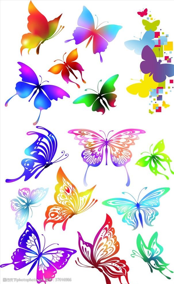 动物素描手绘水彩蝴蝶
