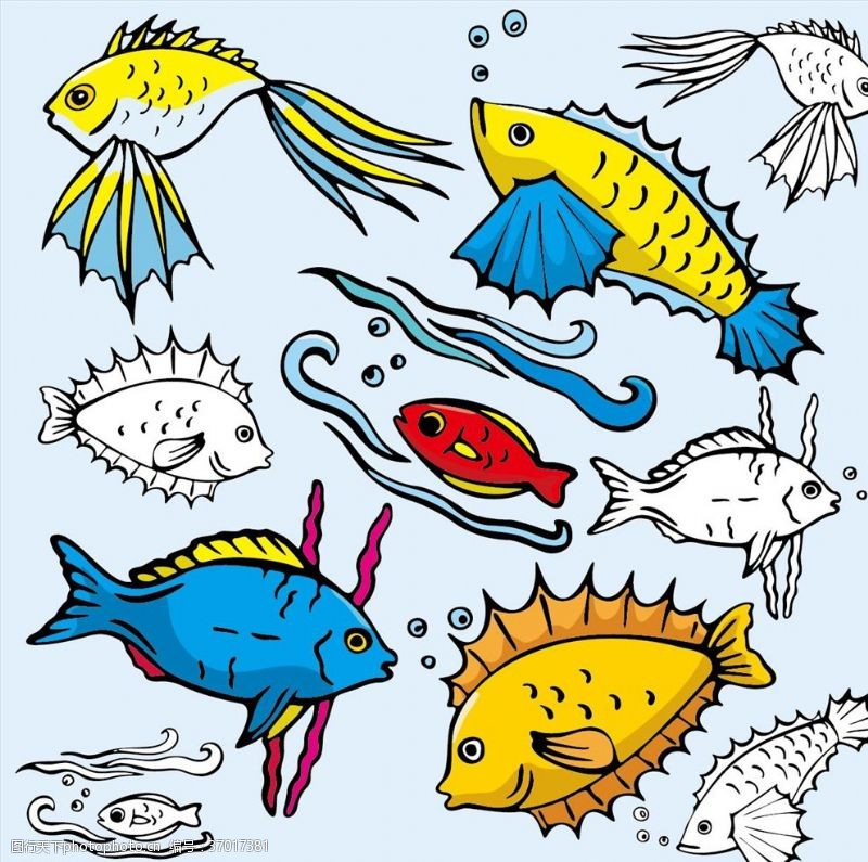 动物素描手绘鱼类