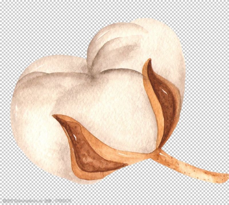 木棉树木棉花花朵绘画图案