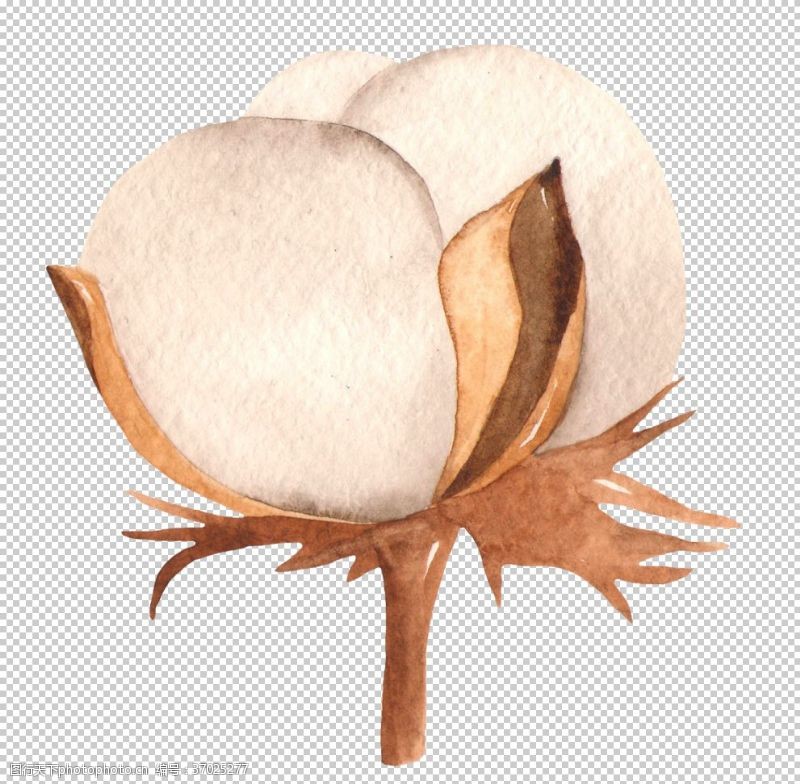 木棉树木棉花花朵绘画图案