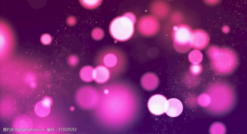蒙胧炫彩紫色光斑背景