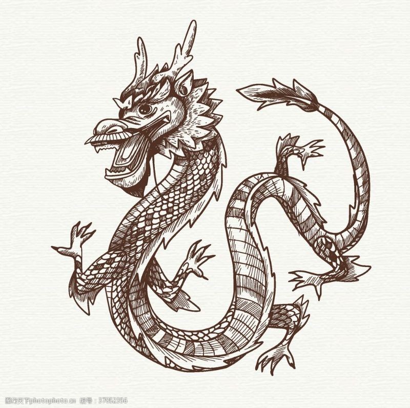 画龙图片免费下载 画龙素材 画龙模板 图行天下素材网