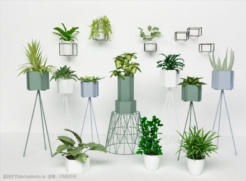 花草模型一组绿色观赏植物集合