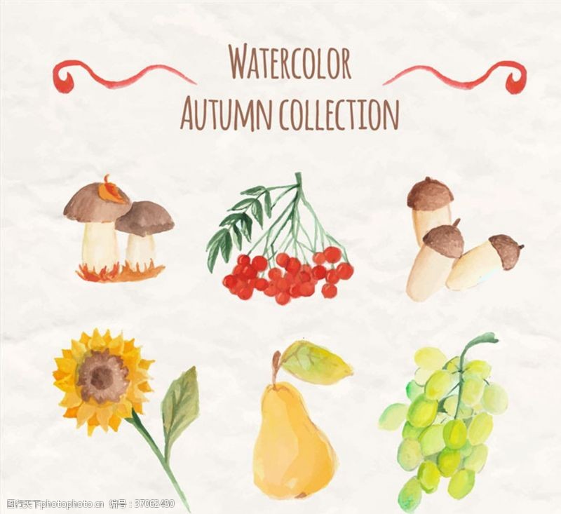 秋天的向日葵水彩绘秋季植物与水果矢量图