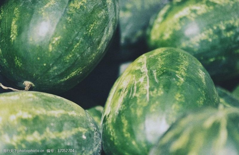 绿色水果西瓜