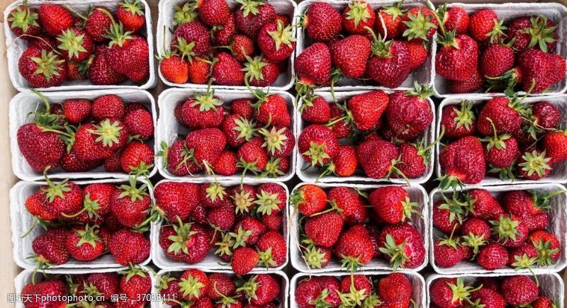 健康食品草莓蓝莓浆果果汁