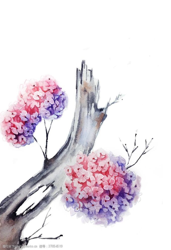 艺术树精美绘画植物花朵