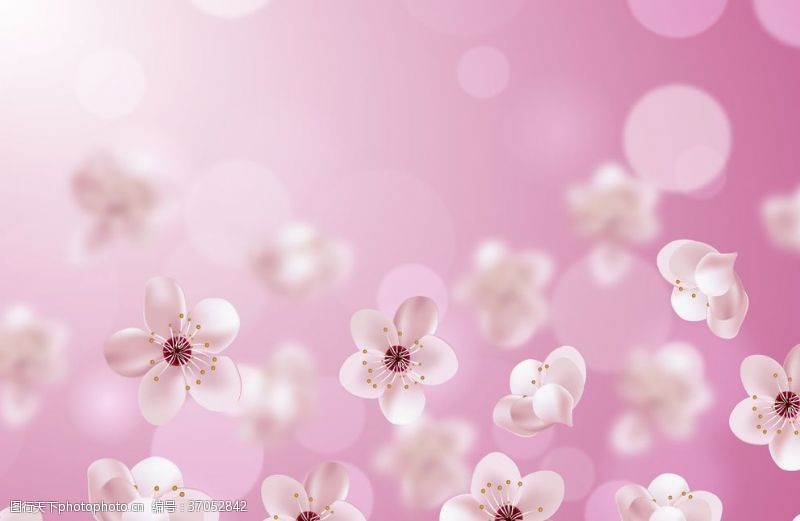粉色海报桃花