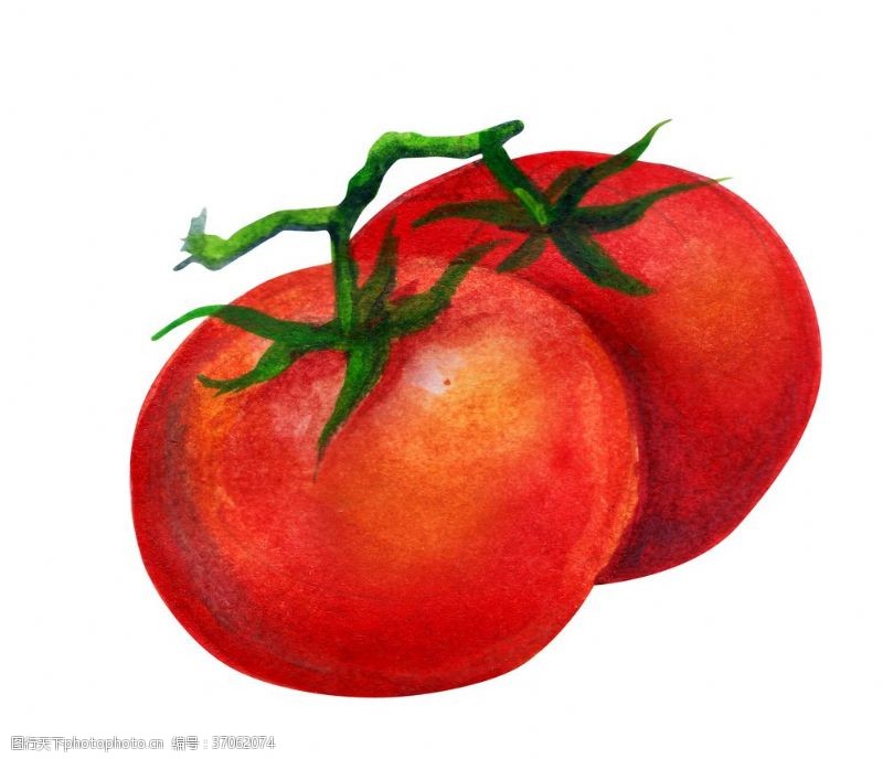 辣椒西红柿