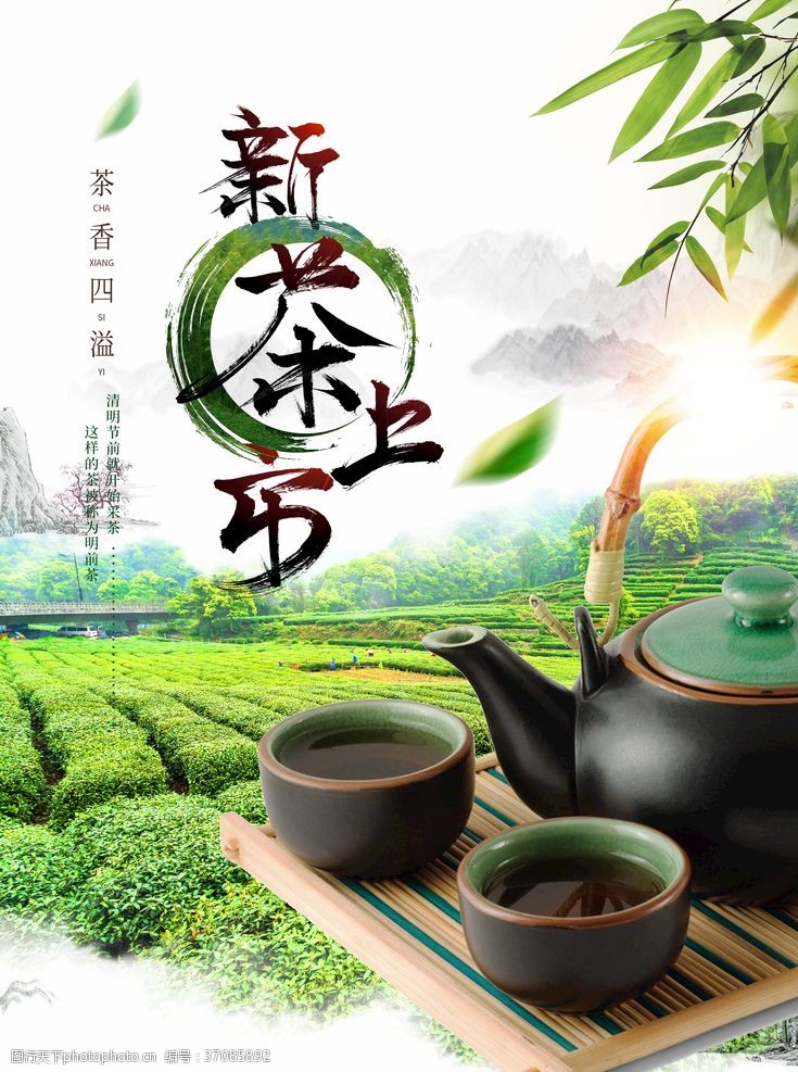 中华茶文化新茶上市